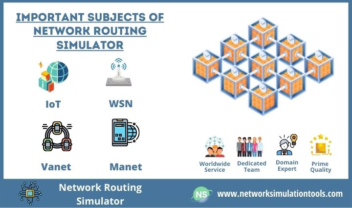 Most Important Domains of Network Routing Simulator