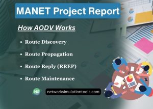 MANET Project Report Help