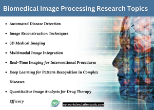 Biomedical Image Processing Research Projects